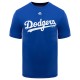 Discount - Los Angeles Dodgers Majestic Cool Base Evolution Youth T-Shirt