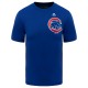 Discount - Chicago Cubs Majestic Cool Base Evolution Youth T-Shirt